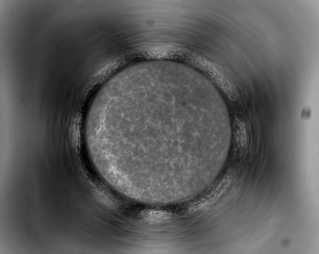 X0000103900590200810101247