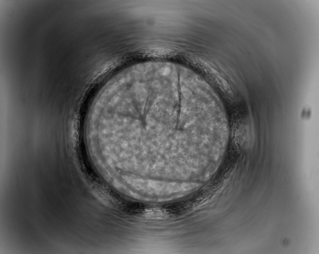 X0000103900591200810101247