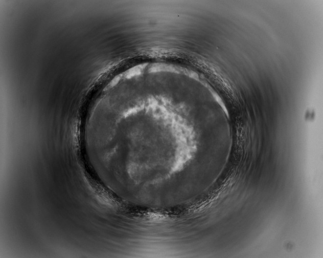 X0000103900592200810101247