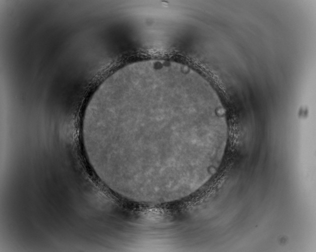 X0000103900593200810101247