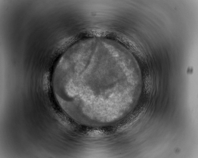 X0000103900594200810101247