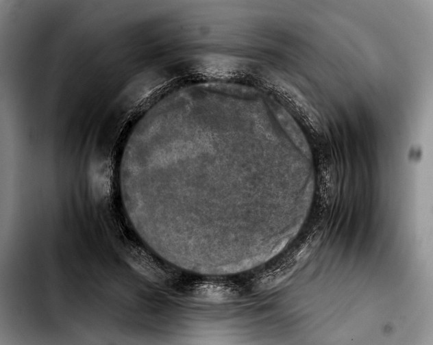 X0000103900596200810101247