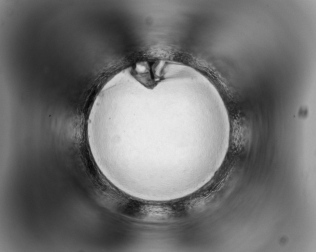 X0000103900597200810101247