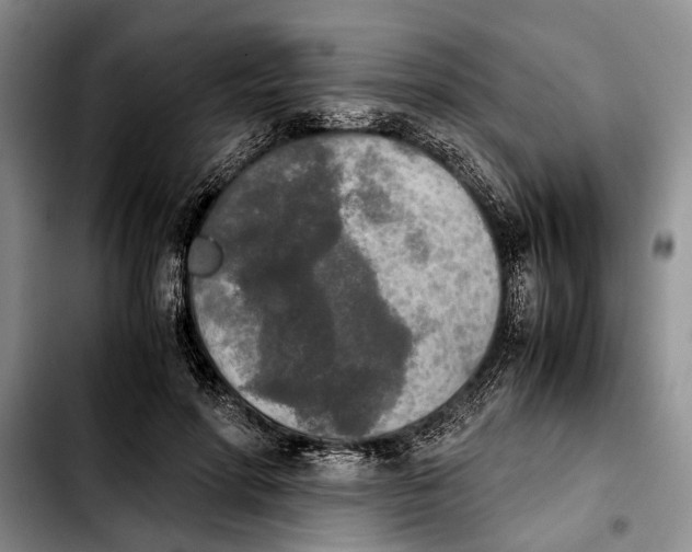 X0000103900598200810101247