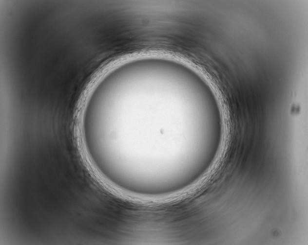 X0000103900599200810101247