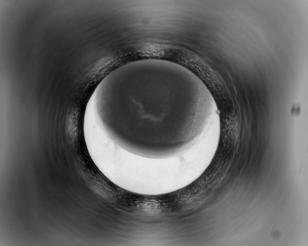 X0000103900600200810101247