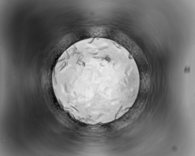 X0000103900601200810101247