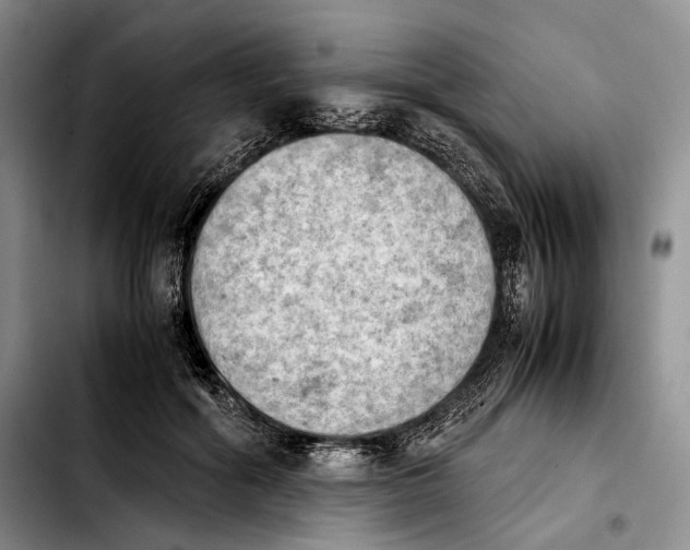 X0000103900602200810101247