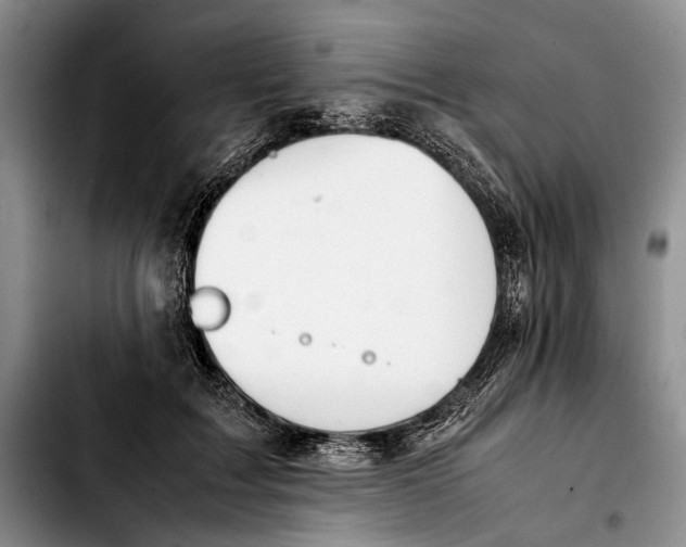 X0000103900603200810101247