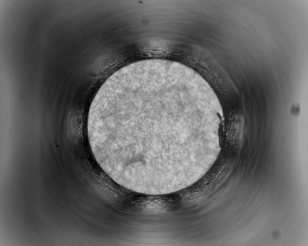 X0000103900604200810101247