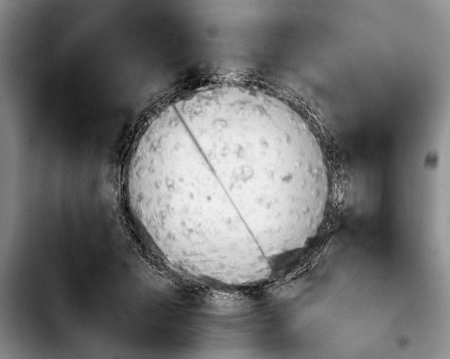 X0000103900605200810101247