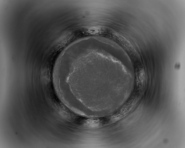 X0000103900606200810101247