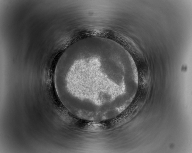 X0000103900607200810101247