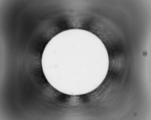 X0000103900609200810101247