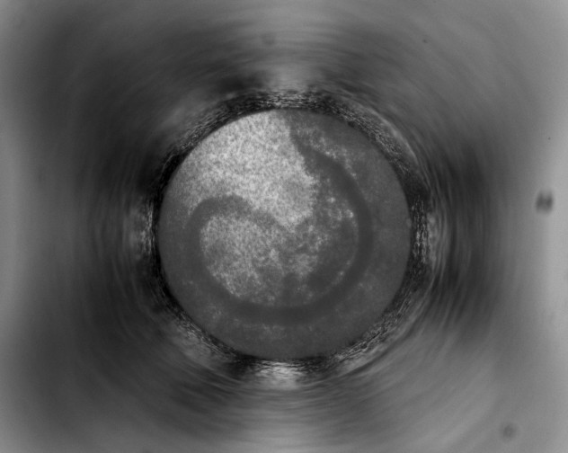 X0000103900610200810101247