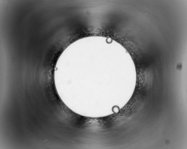 X0000103900611200810101247