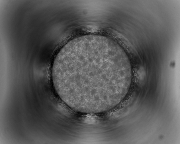 X0000103900612200810101247