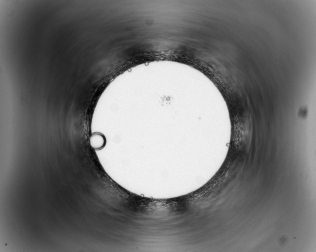 X0000103900613200810101247