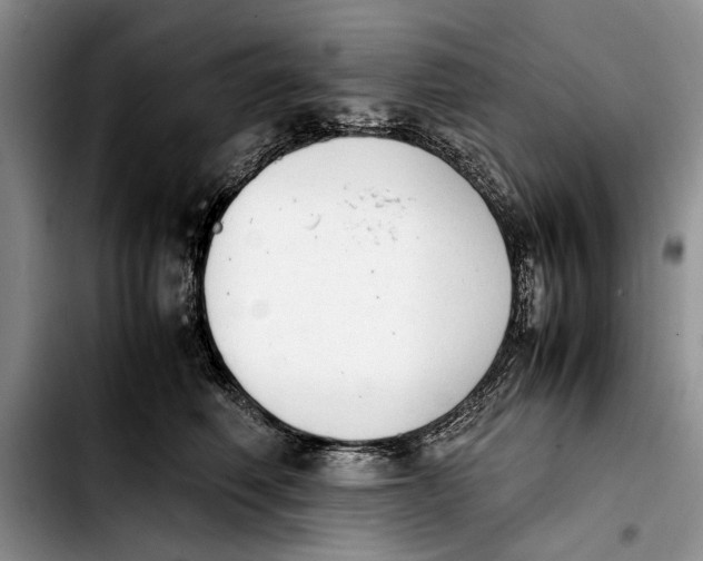 X0000103900614200810101247