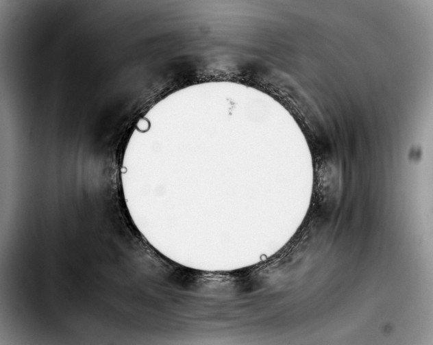 X0000103900617200810101247