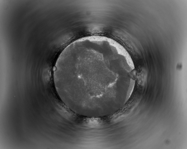 X0000103900618200810101247