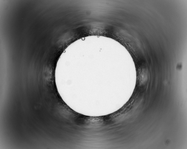 X0000103900619200810101247