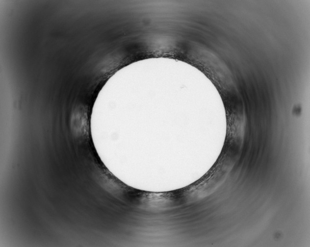 X0000103900622200810101247