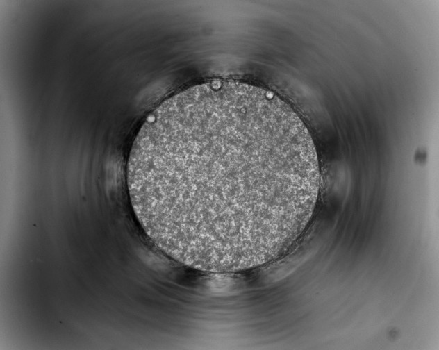 X0000103900623200810101247