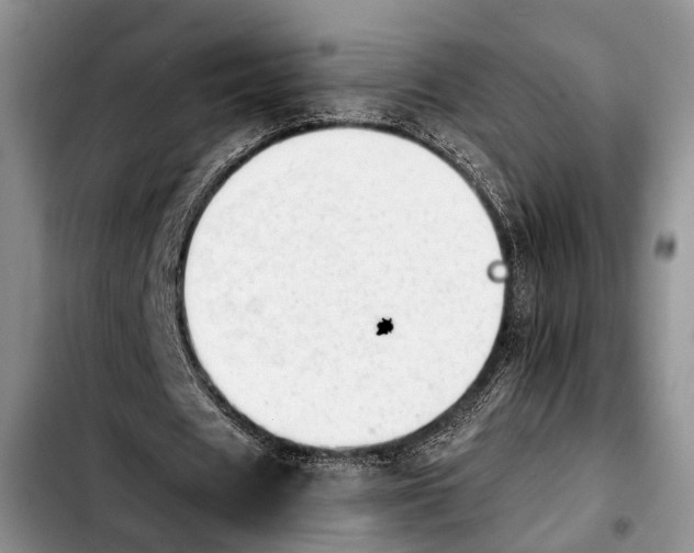 X0000103900625200810101246