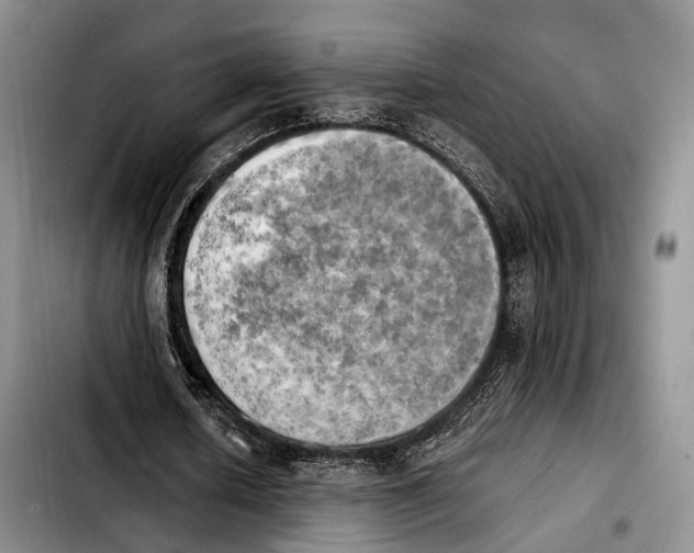 X0000103900626200810101246