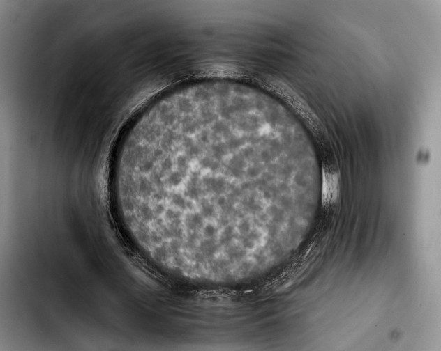 X0000103900627200810101246