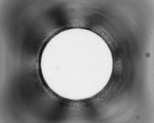 X0000103900629200810101246