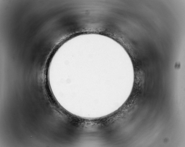 X0000103900632200810101246