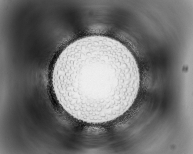 X0000103900635200810101246