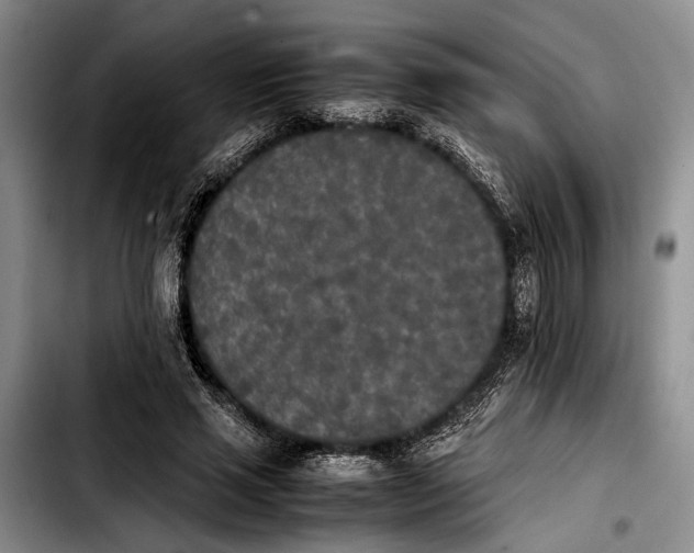 X0000103900637200810101246