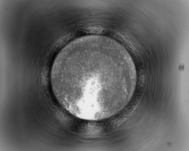 X0000103900641200810101246