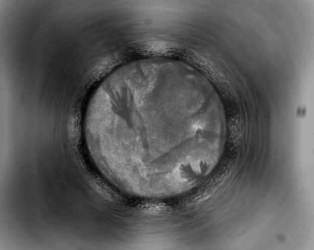 X0000103900642200810101246