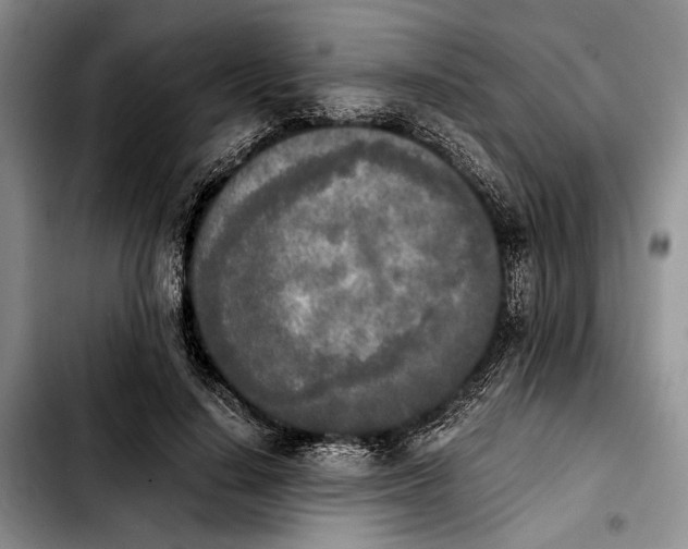 X0000103900644200810101246