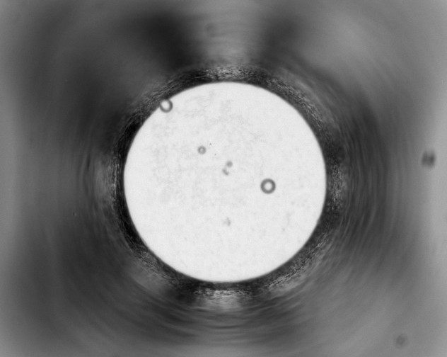 X0000103900645200810101246