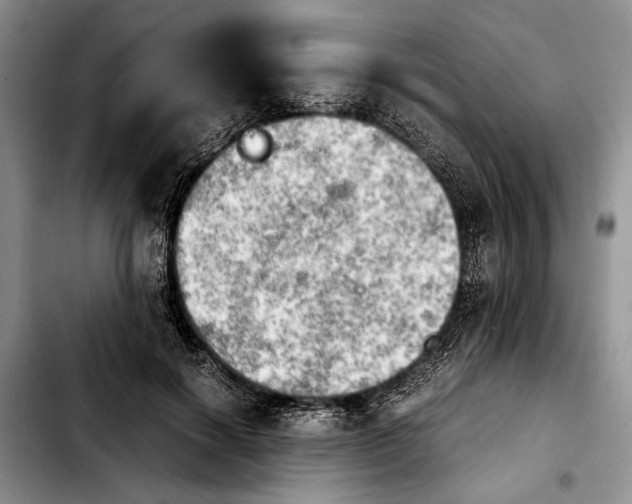 X0000103900646200810101246