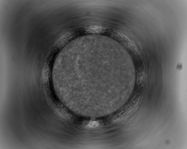 X0000103900647200810101246