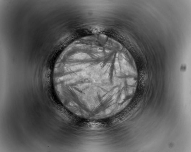 X0000103900650200810101246