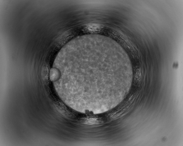 X0000103900651200810101246