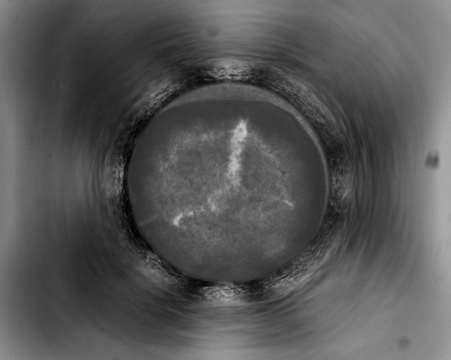 X0000103900652200810101246