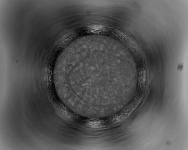 X0000103900653200810101246