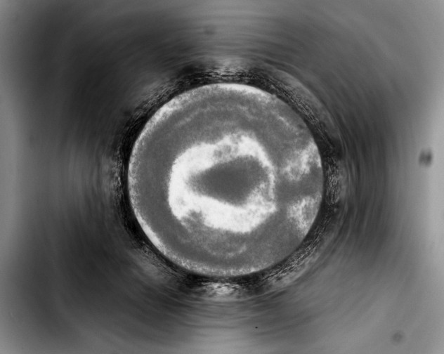 X0000103900654200810101246