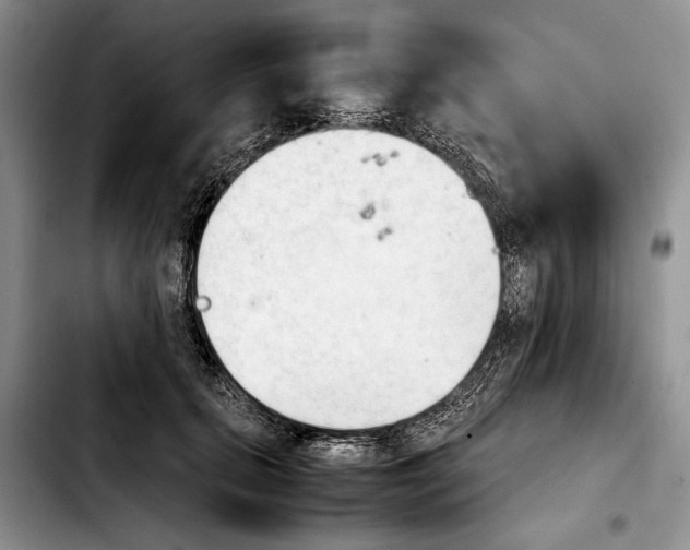 X0000103900655200810101246