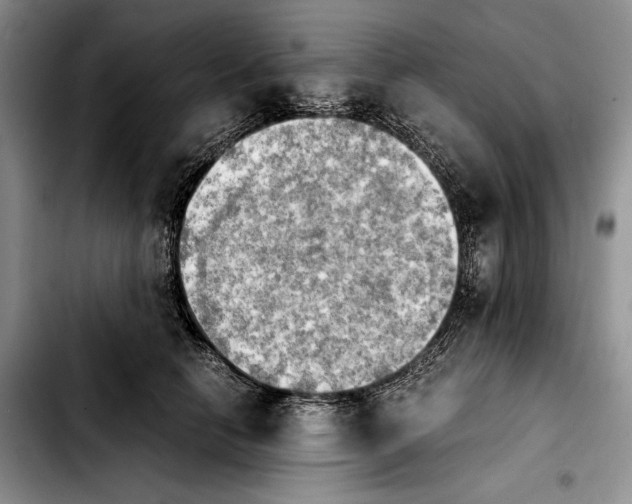 X0000103900658200810101246