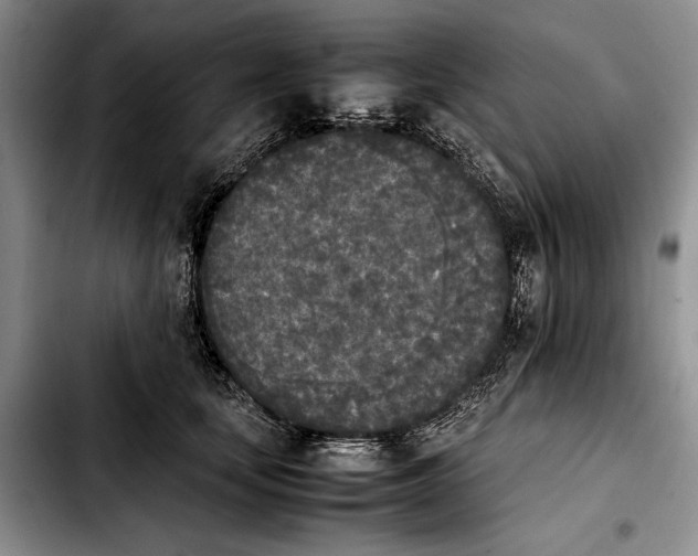 X0000103900659200810101246