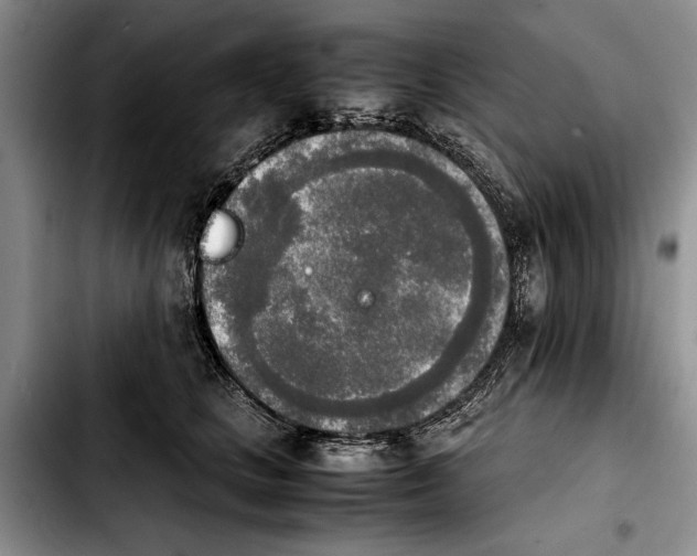 X0000103900661200810101246